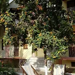 Hotel Ilkiz