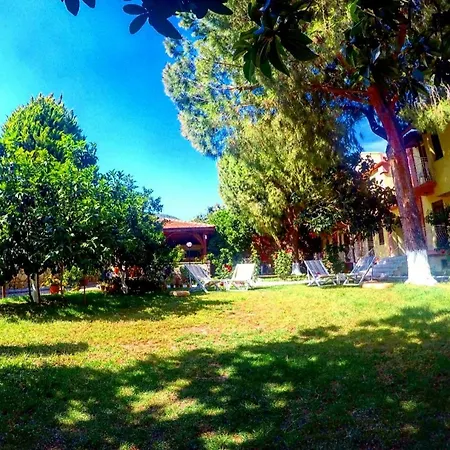 Ilkiz Oludeniz
