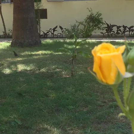 Ilkiz Hotel Oludeniz