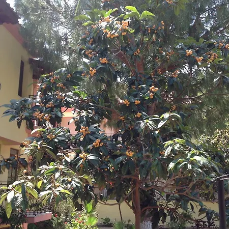 Hotel Ilkiz Oludeniz