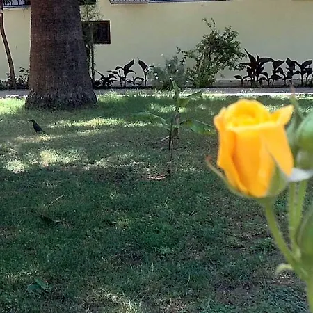 Ilkiz Hotel