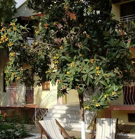 Hotel Ilkiz