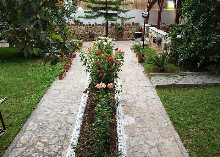 Ilkiz