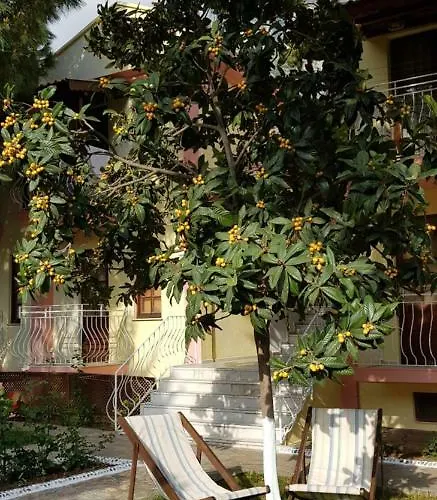 Hotel Ilkiz